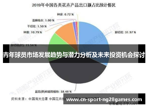 青年球员市场发展趋势与潜力分析及未来投资机会探讨