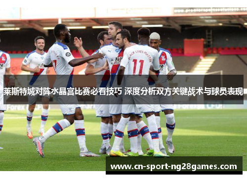 莱斯特城对阵水晶宫比赛必看技巧 深度分析双方关键战术与球员表现