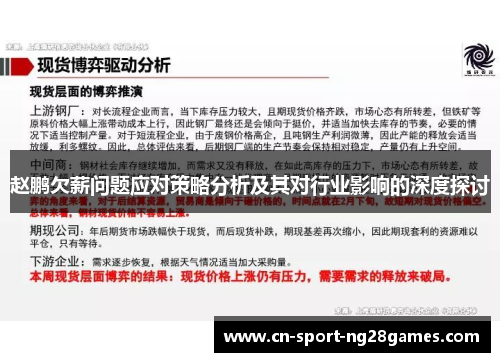赵鹏欠薪问题应对策略分析及其对行业影响的深度探讨 赵鹏欠薪问题应对策略分析及其对行业影响的深度探讨