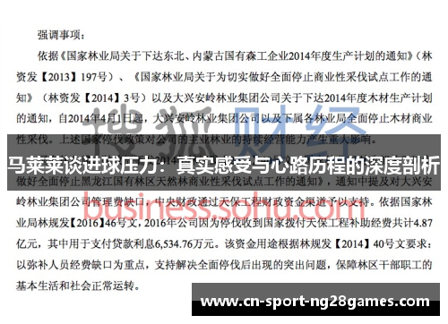 马莱莱谈进球压力：真实感受与心路历程的深度剖析