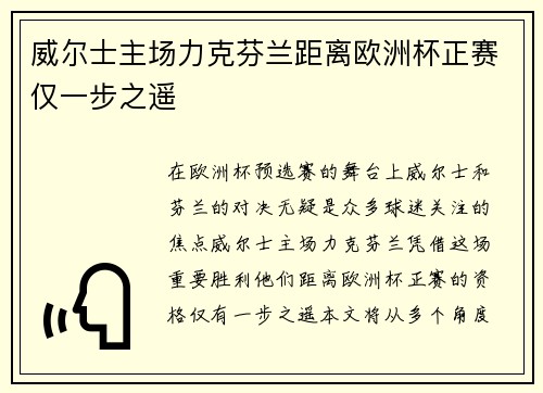 威尔士主场力克芬兰距离欧洲杯正赛仅一步之遥 威尔士主场力克芬兰距离欧洲杯正赛仅一步之遥